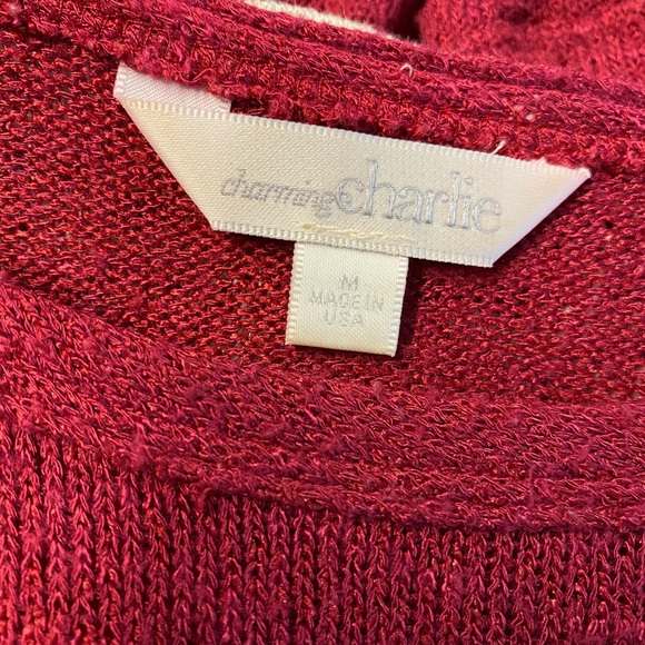 Charming Charlie Sweater - Picture 4 of 4